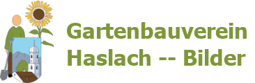 Gartenbauverein Haslach-Fotogalerie