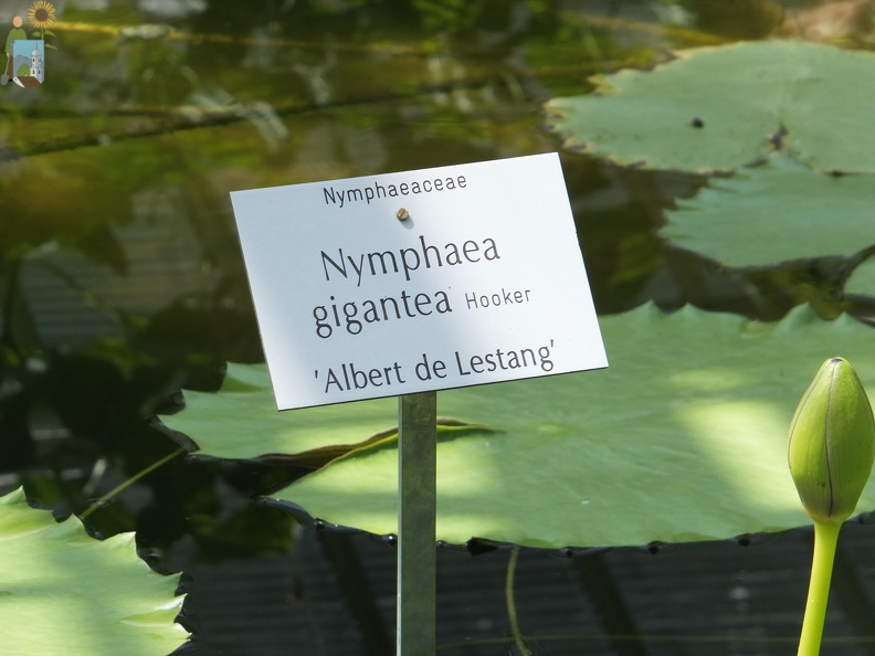 2015-07-04 14-11-13 Muenchen Botanischer Garten.JPG