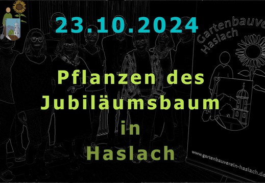 2024-10-30 Jubiläumsbaum